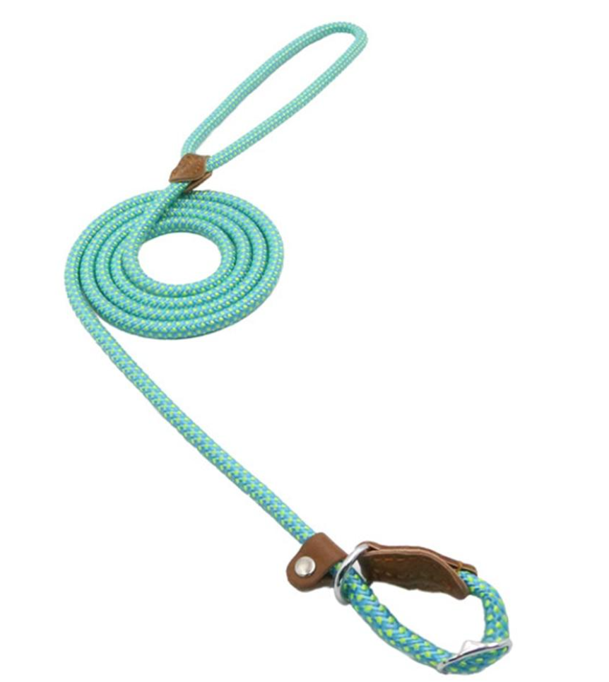 Nylon Leash Pup Set