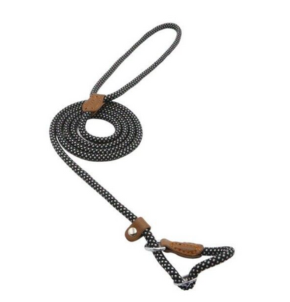 Nylon Leash Pup Set