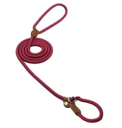 Nylon Leash Pup Set